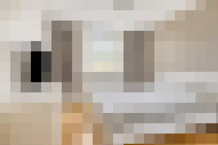Dwarseind 19 Best thumbnail 17
