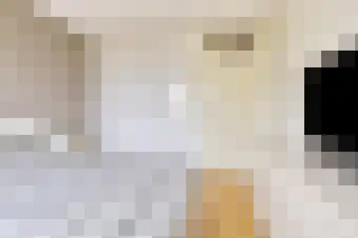 Dwarseind 19 Best thumbnail 18