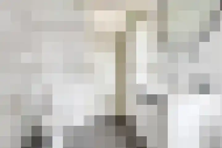 Dwarseind 19 Best thumbnail 20