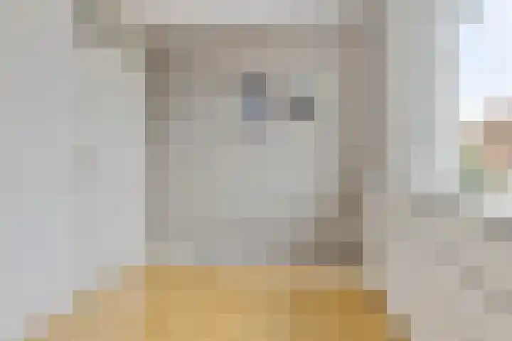 Dwarseind 19 Best thumbnail 22