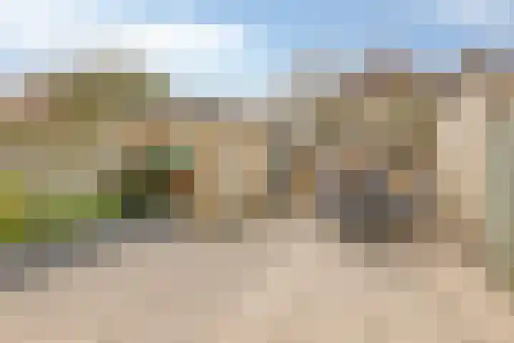 Dwarseind 19 Best thumbnail 29