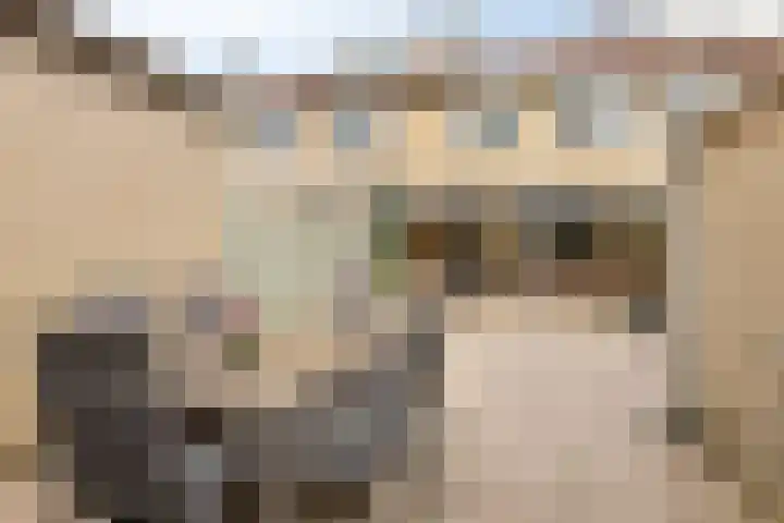 Dwarseind 19 Best thumbnail 30