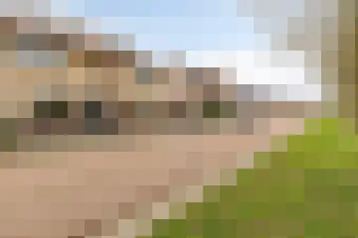 Dwarseind 19 Best thumbnail 31