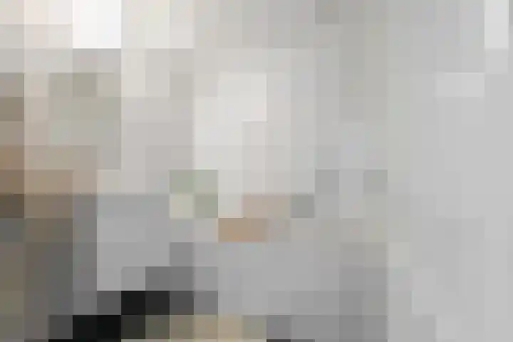 Dwarsewei 7 Goes thumbnail 20