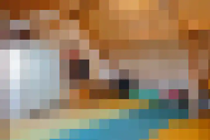 Dwarsewei 7 Goes thumbnail 24