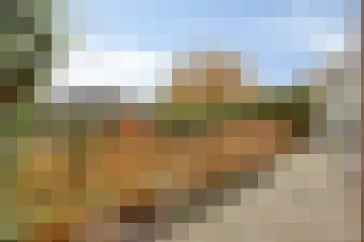 Dwarsewei 7 Goes thumbnail 28