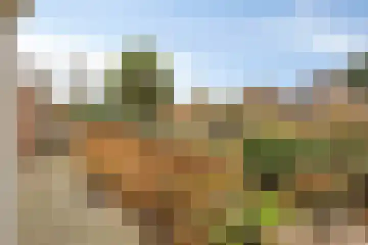 Dwarsewei 7 Goes thumbnail 29