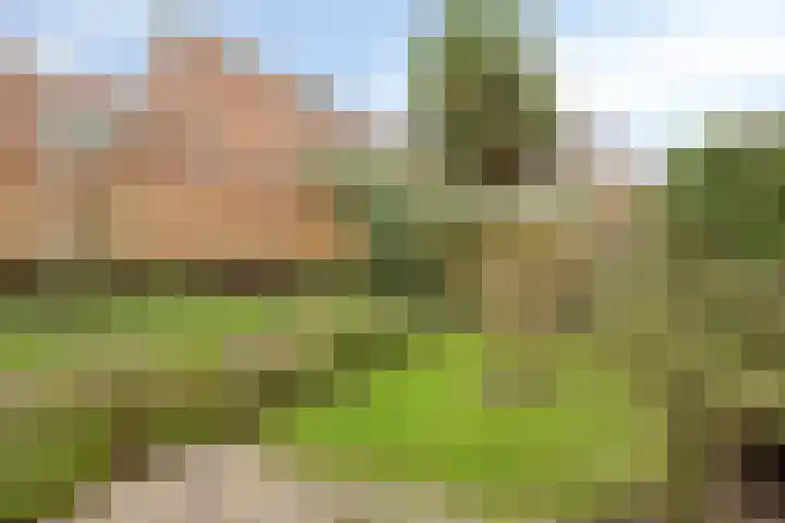 Dwarsewei 7 Goes thumbnail 30