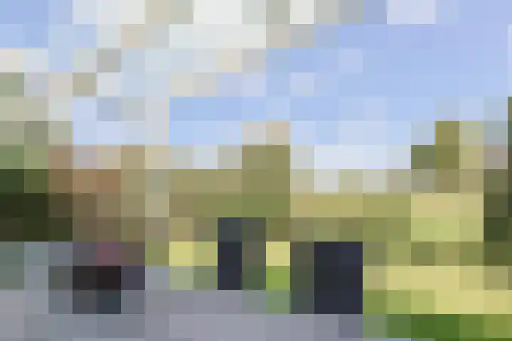 Dwarsewei 7 Goes thumbnail 31