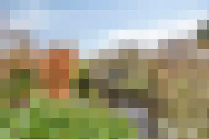 Dwarsewei 7 Goes thumbnail 32