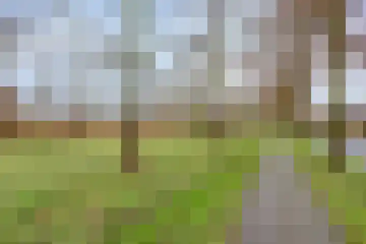 Dwarsewei 7 Goes thumbnail 34