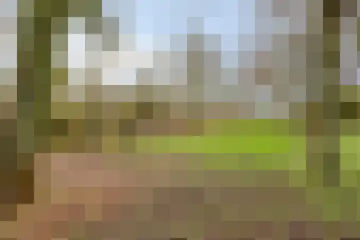 Dwarsewei 7 Goes thumbnail 35