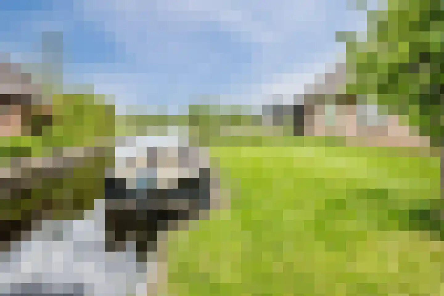 Dwarsgracht 13 Giethoorn thumbnail 43