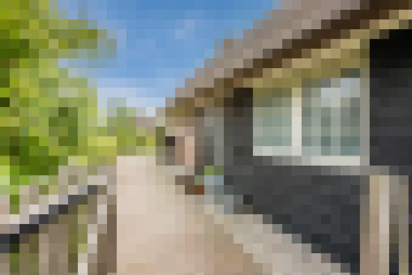Dwarsgracht 13 Giethoorn thumbnail 45