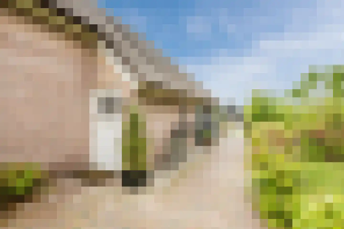 Dwarsgracht 13 Giethoorn thumbnail 46