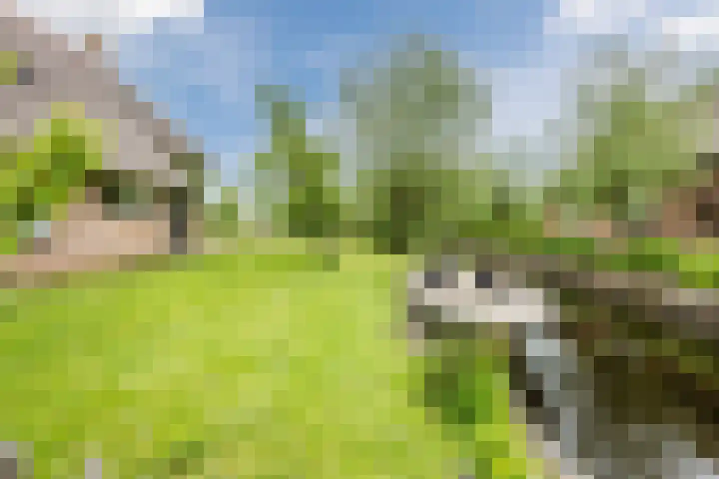 Dwarsgracht 13 Giethoorn thumbnail 5