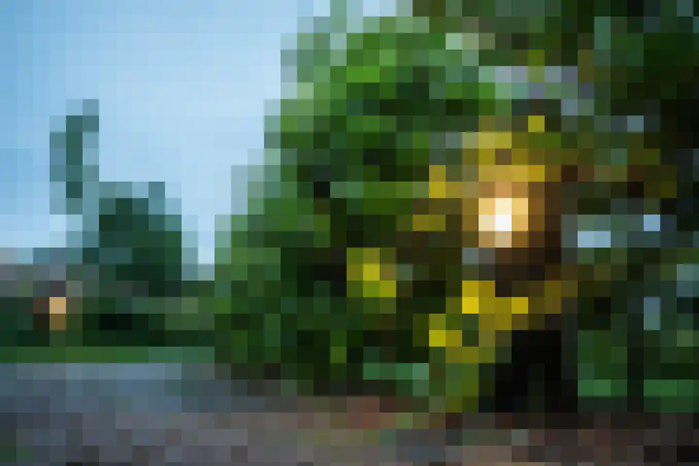 Dwarsgracht 13 Giethoorn thumbnail 57