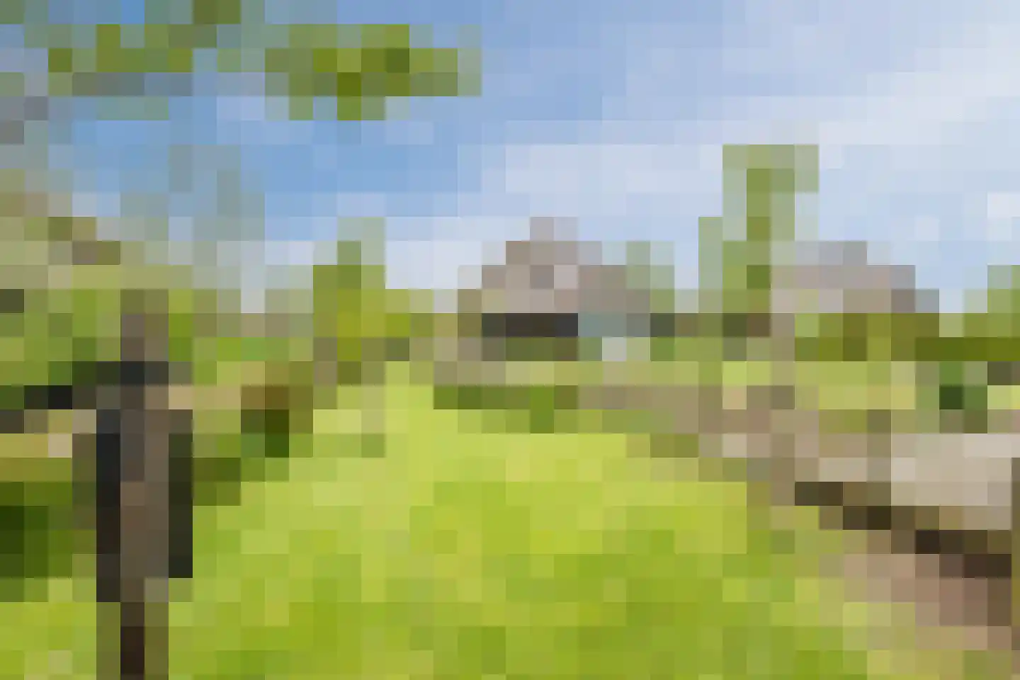 Dwarsgracht 13 Giethoorn thumbnail 61