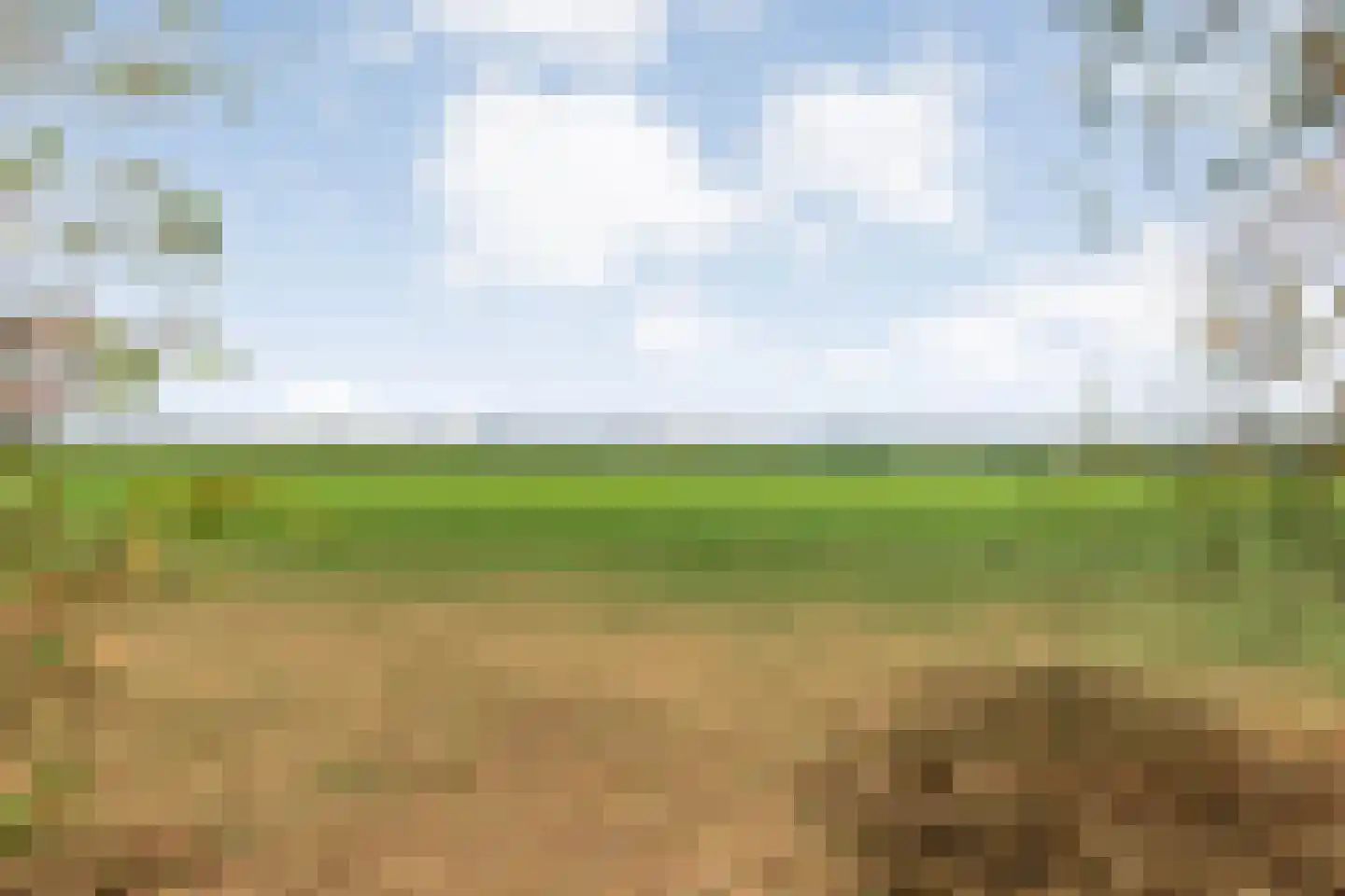 Dwarsgrave 2 Kloosterhaar thumbnail 10