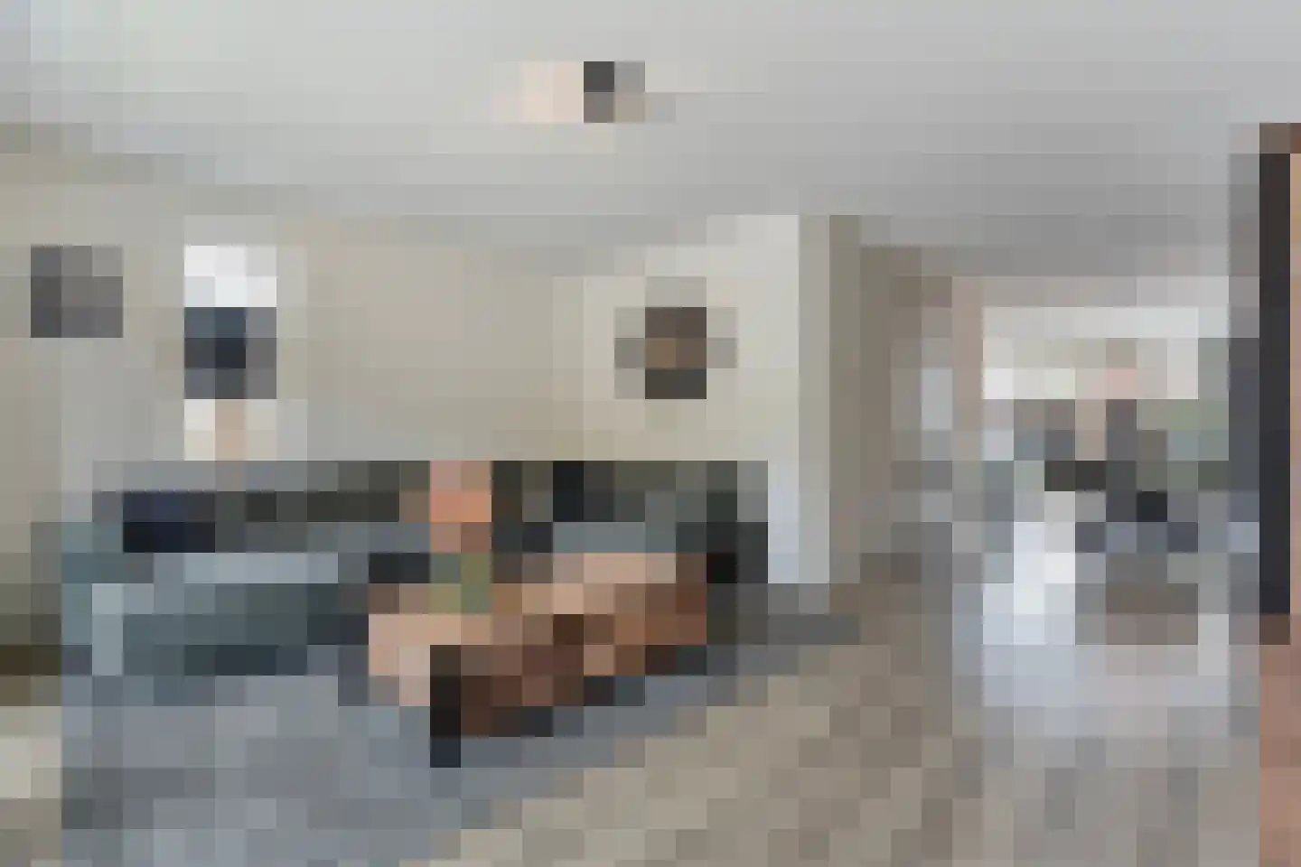 Dwarsgrave 2 Kloosterhaar thumbnail 20