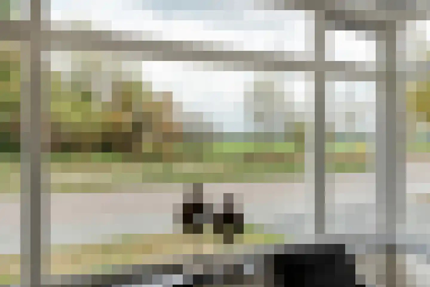 Dwarsgrave 2 Kloosterhaar thumbnail 22