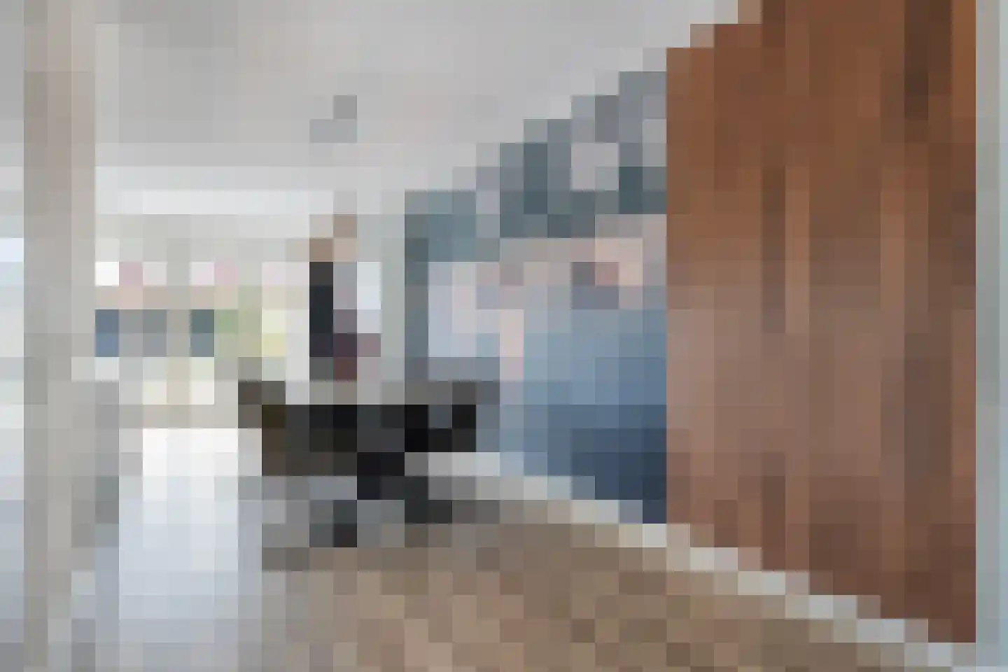 Dwarsgrave 2 Kloosterhaar thumbnail 23