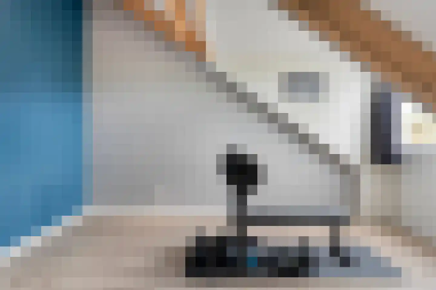 Dwarsgrave 2 Kloosterhaar thumbnail 47
