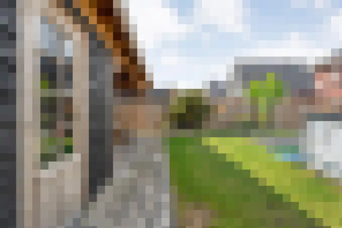 Dwarsgrave 2 Kloosterhaar thumbnail 56