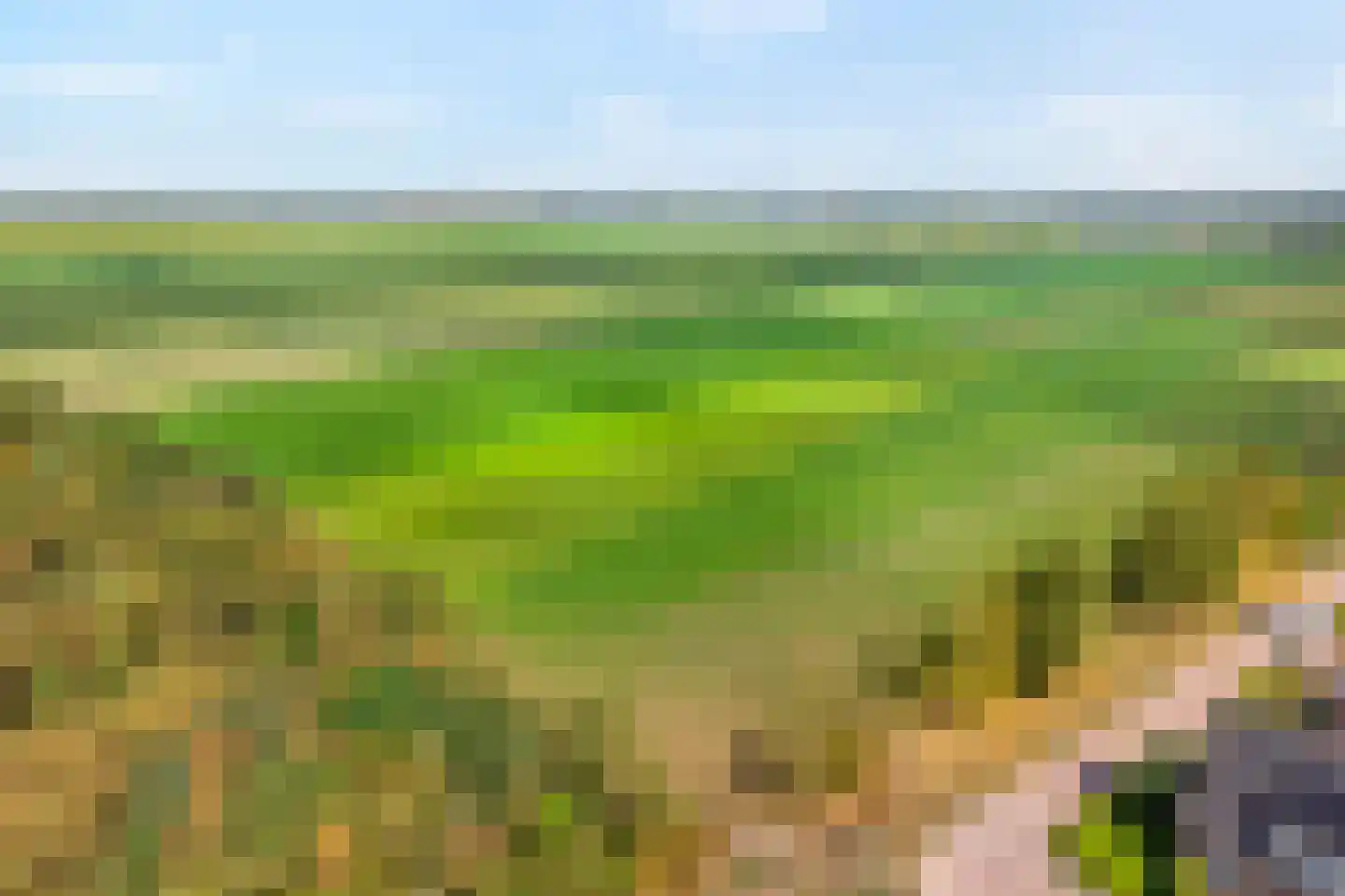 Dwarsgrave 2 Kloosterhaar thumbnail 59