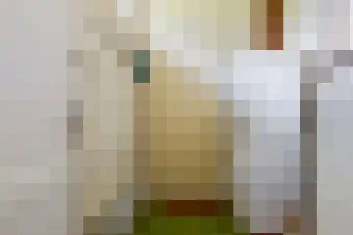 Dwarshaer 12 Oosterwolde thumbnail 17