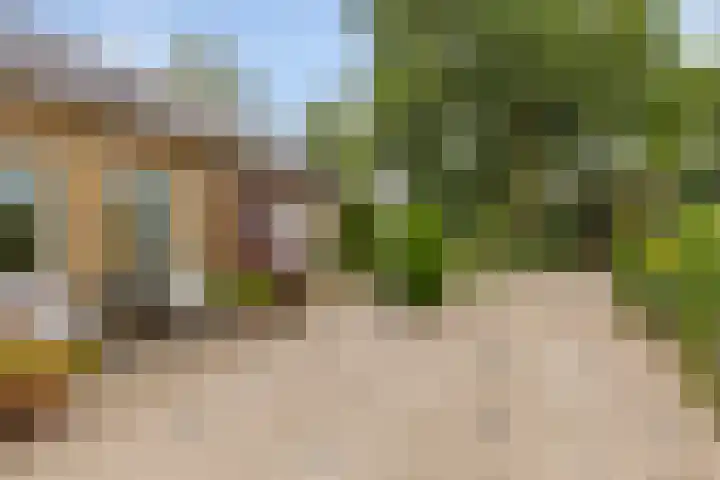Dwarshaer 12 Oosterwolde thumbnail 24