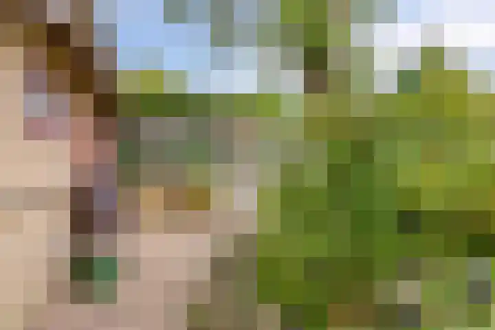 Dwarshaer 12 Oosterwolde thumbnail 25