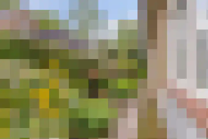 Dwarshaer 12 Oosterwolde thumbnail 26