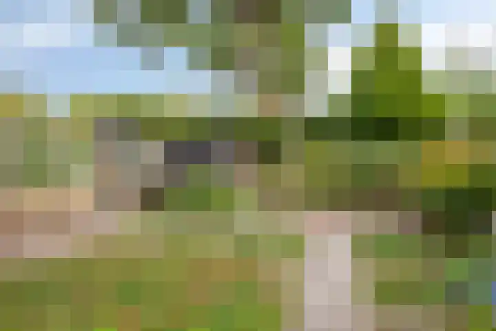 Dwarshaer 12 Oosterwolde thumbnail 27
