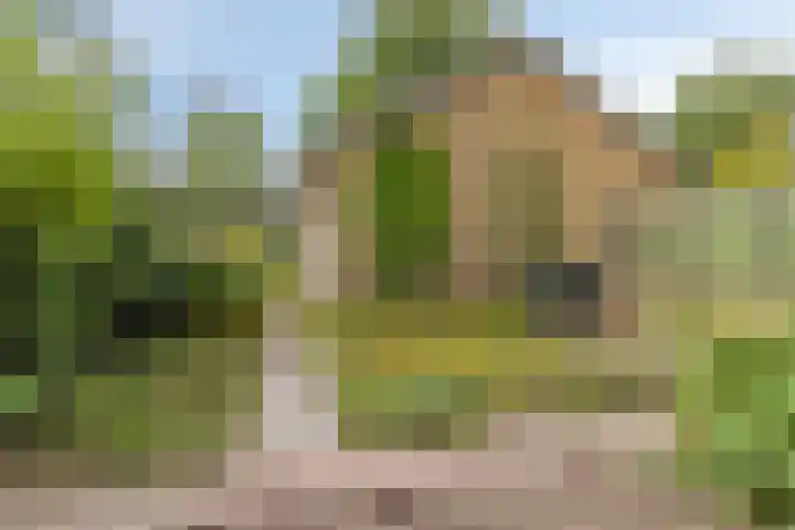 Dwarshaer 12 Oosterwolde thumbnail 28