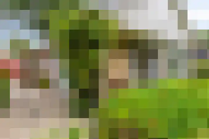 Dwarshaer 12 Oosterwolde thumbnail 29