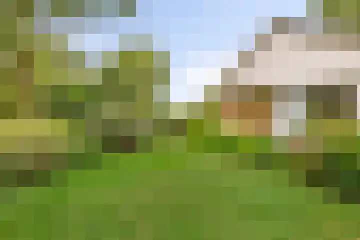 Dwarshaer 12 Oosterwolde thumbnail 30