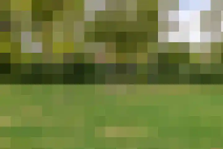 Dwarshaer 12 Oosterwolde thumbnail 31