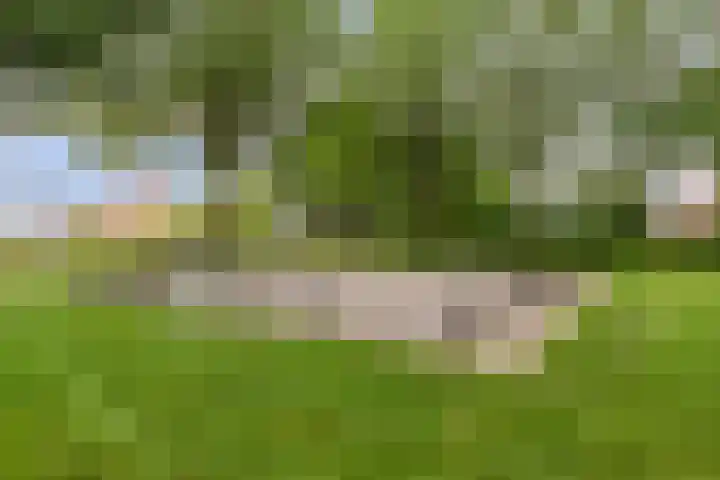 Dwarshaer 12 Oosterwolde thumbnail 32