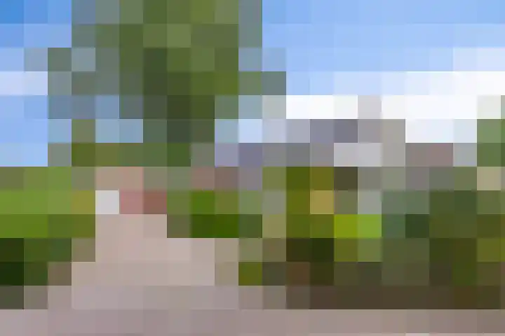 Dwarshaer 12 Oosterwolde thumbnail 37