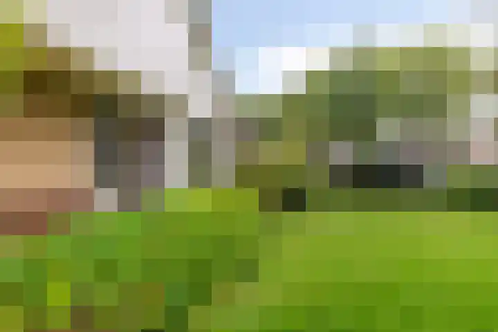 Dwarshaer 12 Oosterwolde thumbnail 5