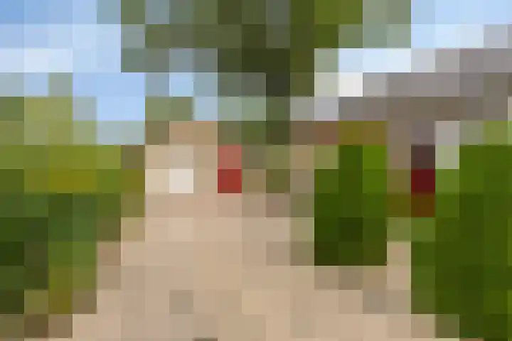 Dwarshaer 12 Oosterwolde thumbnail 6