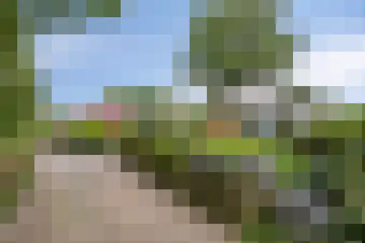 Dwarshaer 12 Oosterwolde thumbnail 7