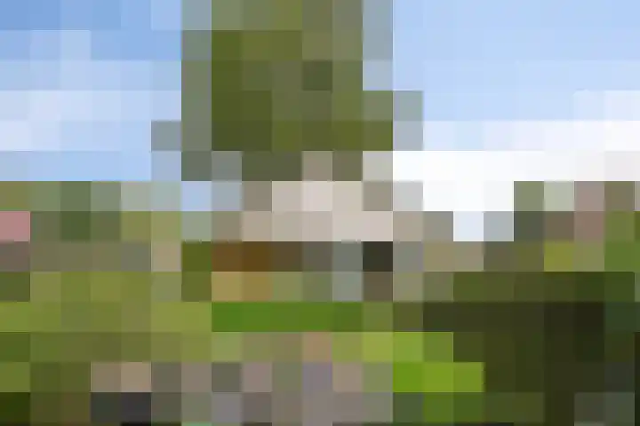 Dwarshaer 12 Oosterwolde thumbnail 8
