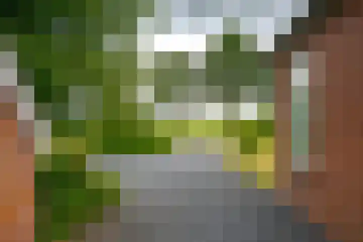 Dwarshaspel 11 Zevenhuizen thumbnail 11