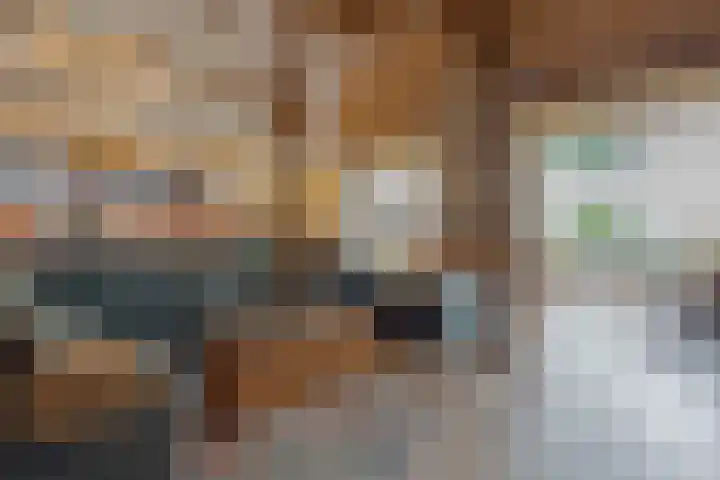 Dwarshaspel 11 Zevenhuizen thumbnail 15