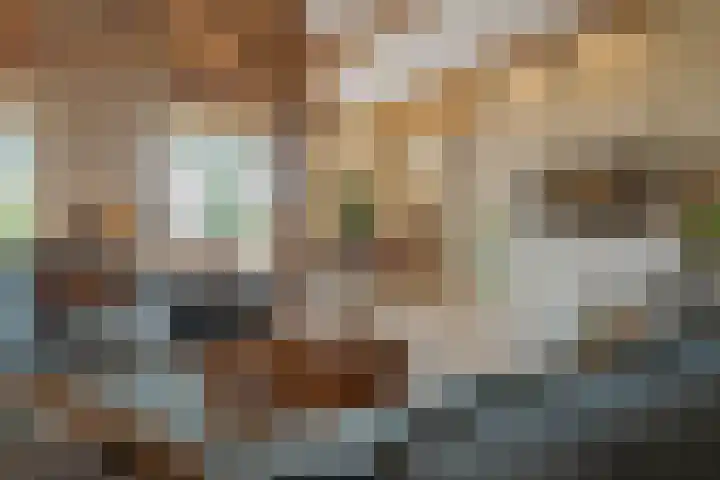 Dwarshaspel 11 Zevenhuizen thumbnail 17