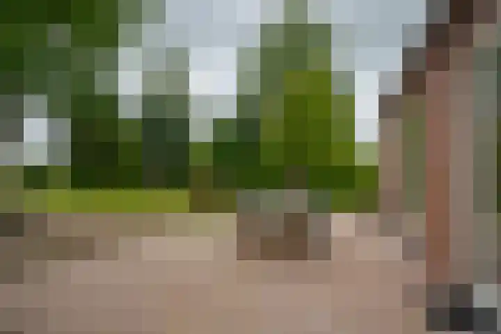 Dwarshaspel 11 Zevenhuizen thumbnail 23