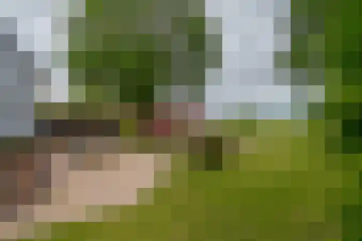 Dwarshaspel 11 Zevenhuizen thumbnail 24