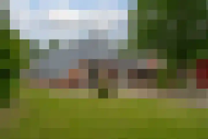 Dwarshaspel 11 Zevenhuizen thumbnail 25